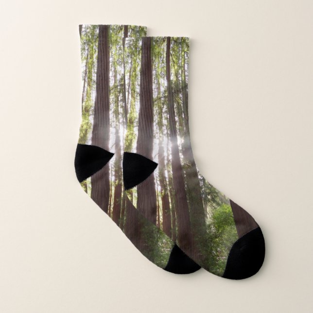 Bis zum Redwoods am Morgen Socken (Paar)