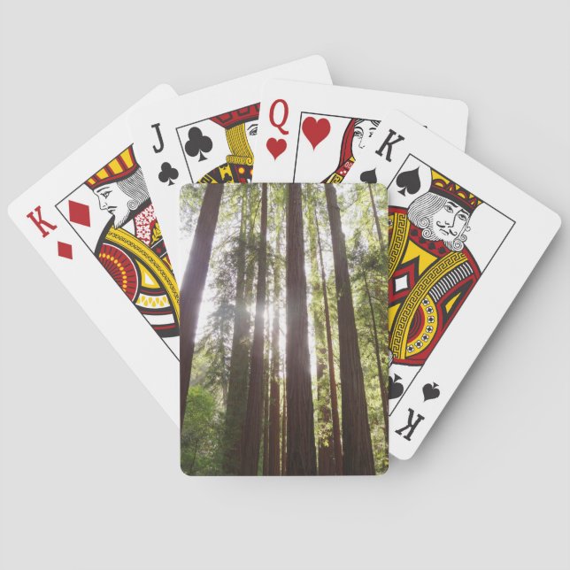 Bis zum Redwoods am Morgen Spielkarten (Rückseite)