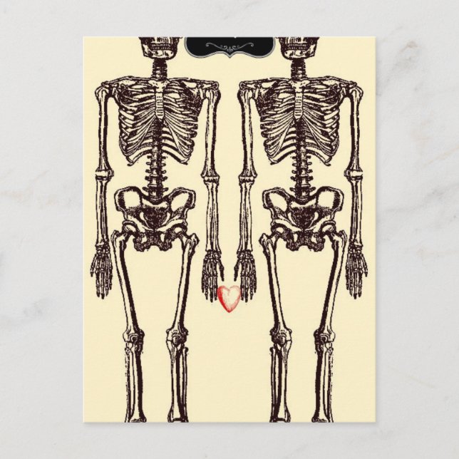 Bis zum Tod sind wir Teil Postkarte (Vorderseite)