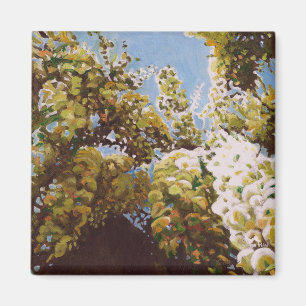 Bis zur Wisteria 2011 Magnet