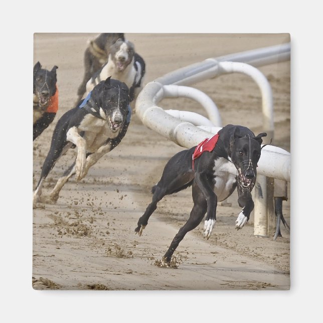 Bis zur Zeile laufen Magnet (Vorne)