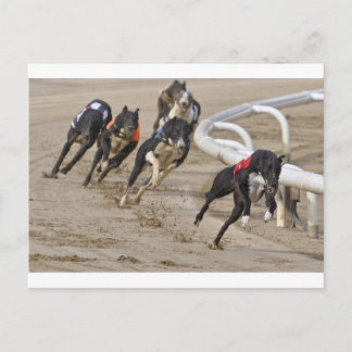 Bis zur Zeile laufen Postkarte