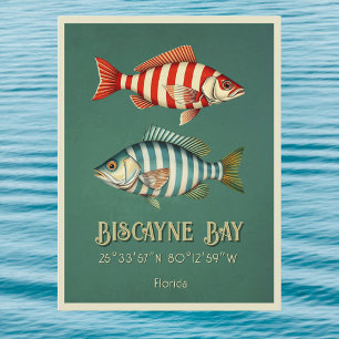 Biscayne Bay Florida Fisch Postkarte