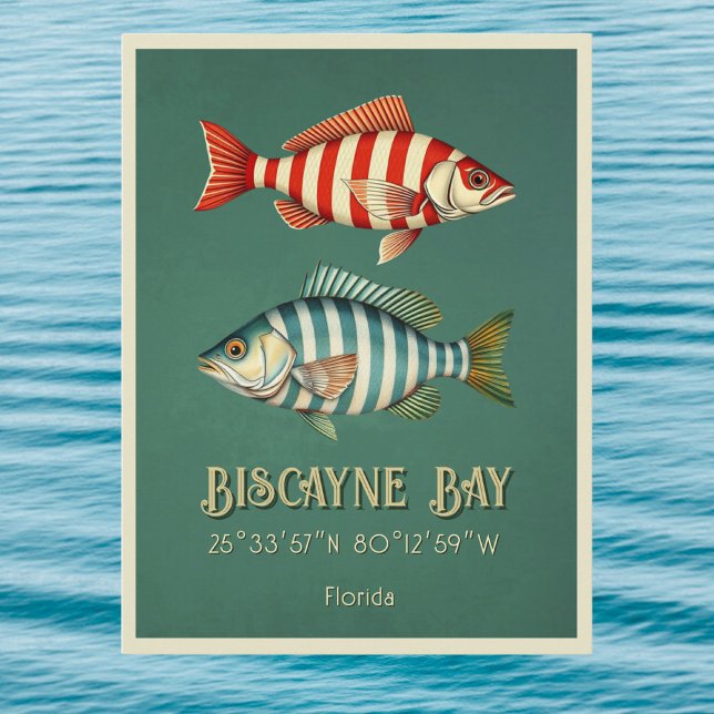 Biscayne Bay Florida Fisch Postkarte (Von Creator hochgeladen)