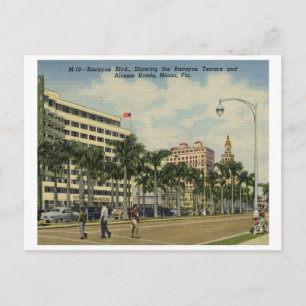 Biscayne Blvd. Hotels, Miami, Florida Vintag Postkarte