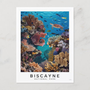 Biscayne National Park Koralle Postkarte