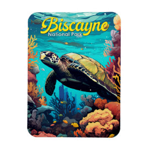 Biscayne Nationalpark Schildkröte Illustration Ret Magnet