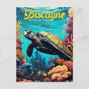 Biscayne Nationalpark Schildkröte Illustration Ret Postkarte