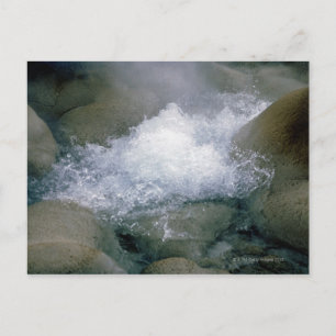 Biscuit-Becken im Yellowstone-Nationalpark Postkarte