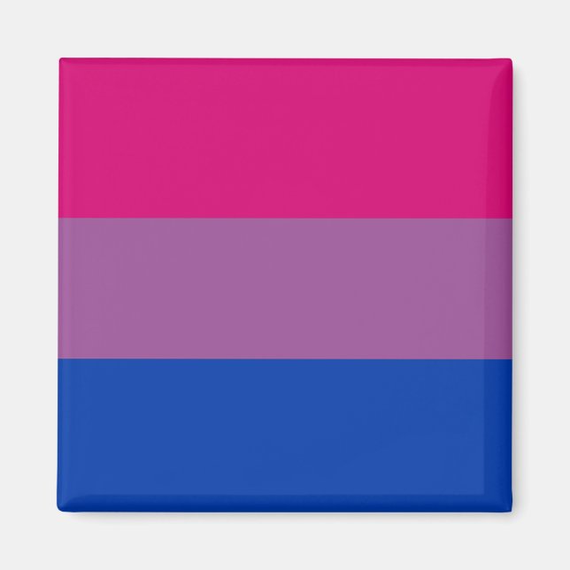Bisexual Pride Flag Magnet (Vorne)