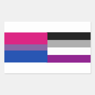 Bisexuelle/asexuale Flaggenaufkleber Rechteckiger Aufkleber