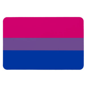 BISEXUELLEN-FLAGGE ORIGINAL -.png Magnet