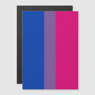 Bisexuellen-Stolz-Flagge Magneteinladung