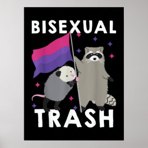 Bisexueller Gay Pride Rainbow LGBT Raccoon Poster