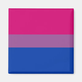 Bisexueller Stolz (Bi-Flagge) Magnet