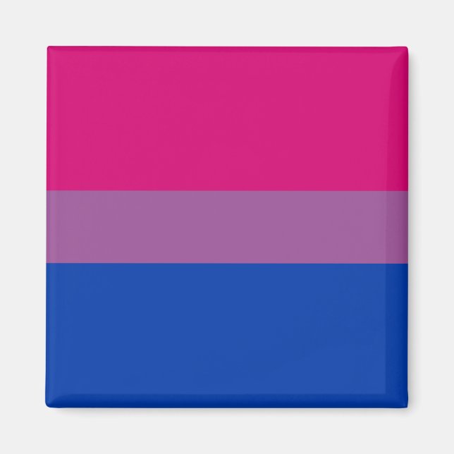 Bisexueller Stolz (Bi-Flagge) Magnet (Vorne)