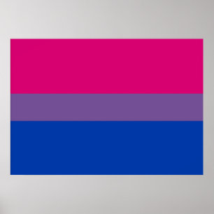 Bisexuelles Stolz-Flaggen-Plakat Poster