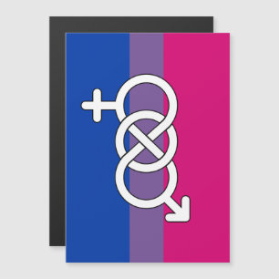 Bisexuelles Stolzsymbol Flagge Magneteinladung