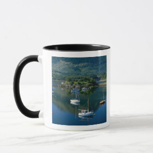Bishops Bay, Loch Leven, Ballachullish, Tasse