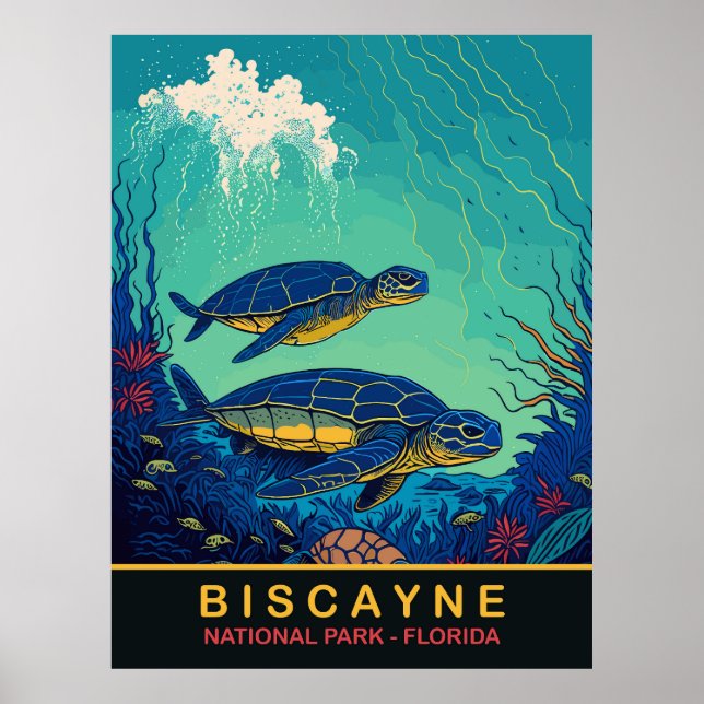 Biskaya, Schildkröten, Floraida, Reisen Poster (Vorne)