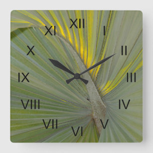 Bismarck Palm Tropical Square Wall Clock Quadratische Wanduhr