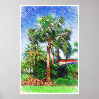 Bismarckia nobilis palme, farbstift zeichnend poster