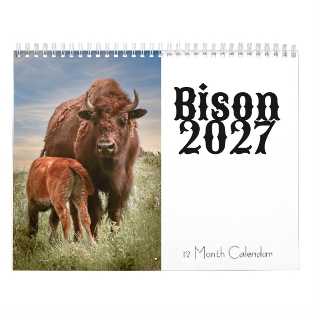 Bison 2027 12-Monats-Kalender Kalender (Titelbild)