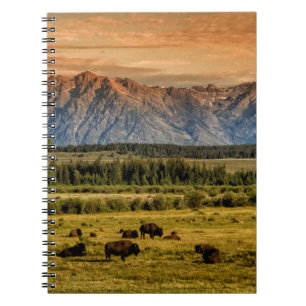 Bison am Sonnenaufgang Notizblock