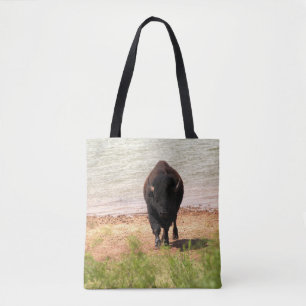 Bison am Wasser
