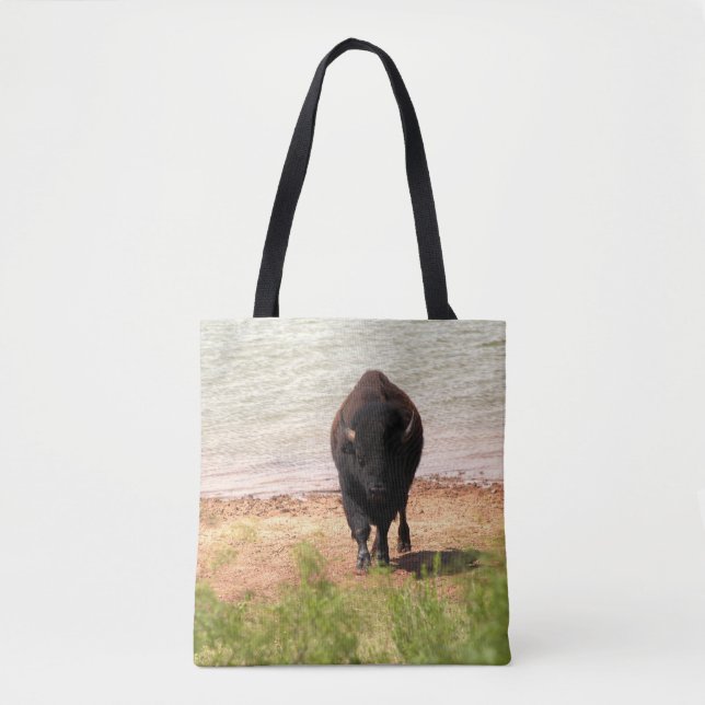 Bison am Wasser (Vorderseite)