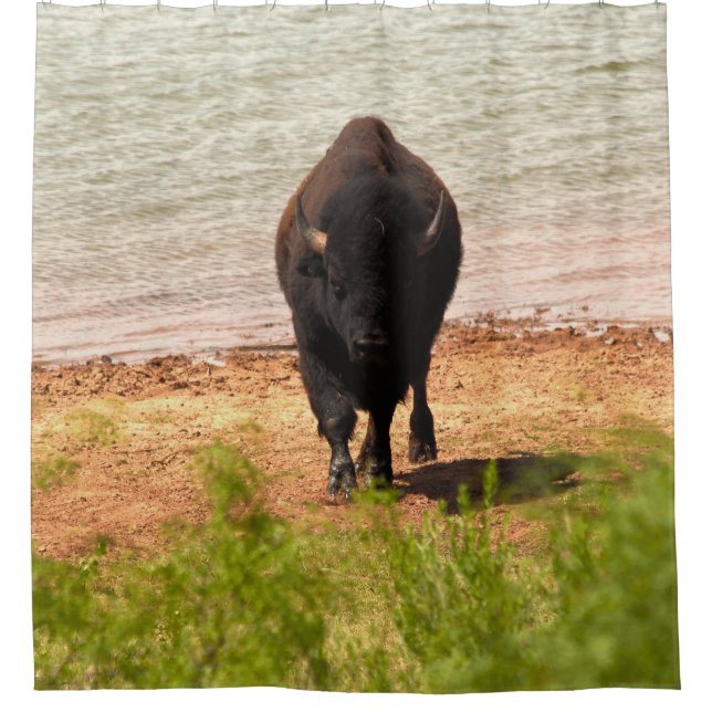 Bison am Wasser Duschvorhang (Vorderseite)