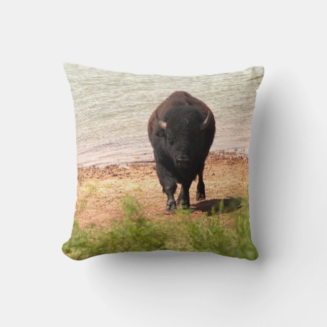 Bison am Wasser Kissen (Vorderseite)