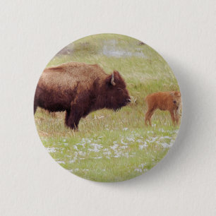 Bison and Calf in Yellowstone Button