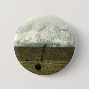 Bison at Grand Teton Nationalpark Fotografie Button
