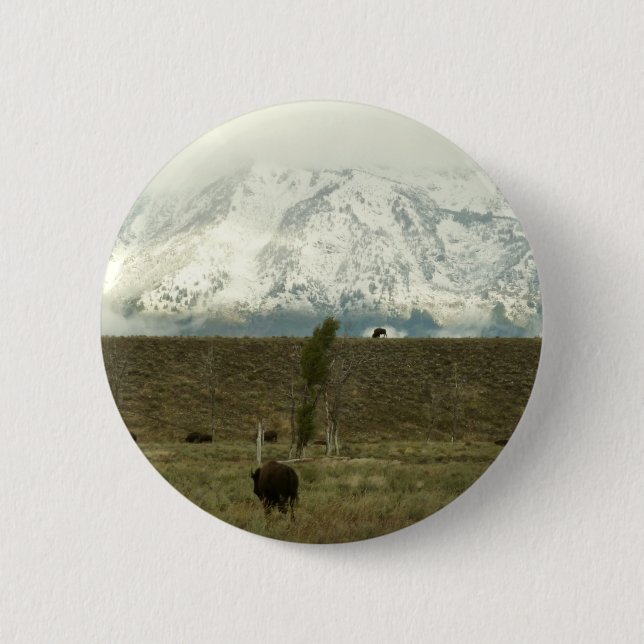 Bison at Grand Teton Nationalpark Fotografie Button (Vorderseite)