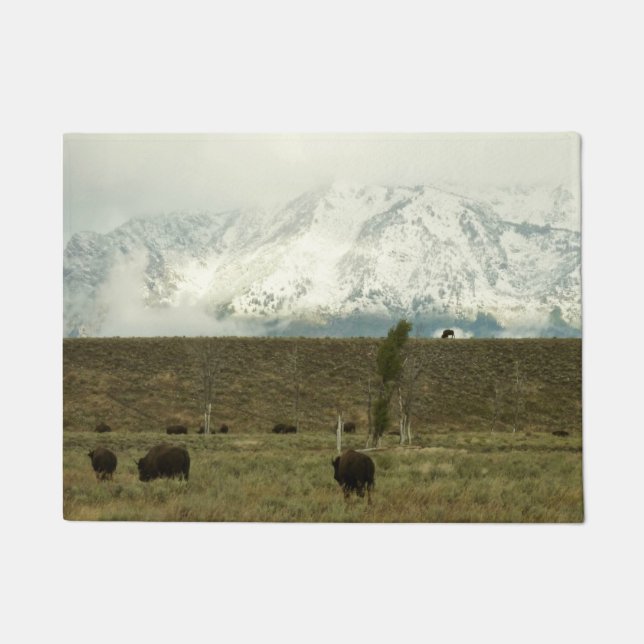 Bison at Grand Teton Nationalpark Fotografie Fußmatte (Vorderseite)