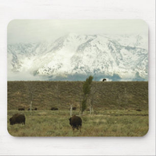 Bison at Grand Teton Nationalpark Fotografie Mousepad
