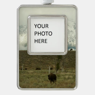 Bison at Grand Teton Nationalpark Fotografie Rahmen-Ornament Silber