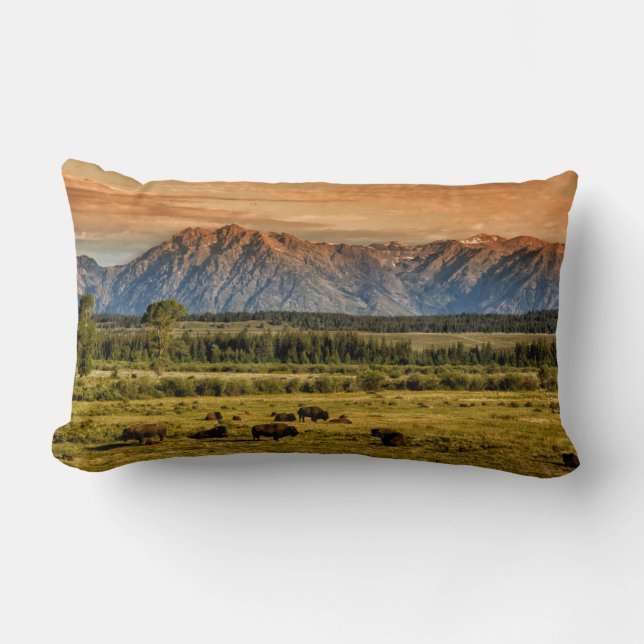 Bison at Sunrise Lendenkissen (Vorderseite)