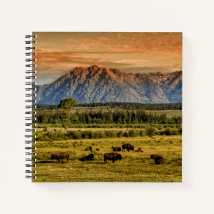 Bison at Sunrise Notizbuch