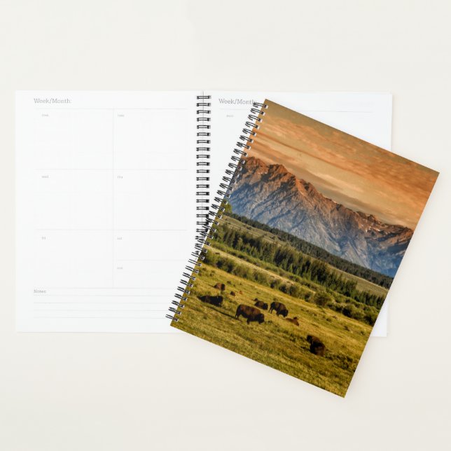 Bison at Sunrise Planer (Anzeige)