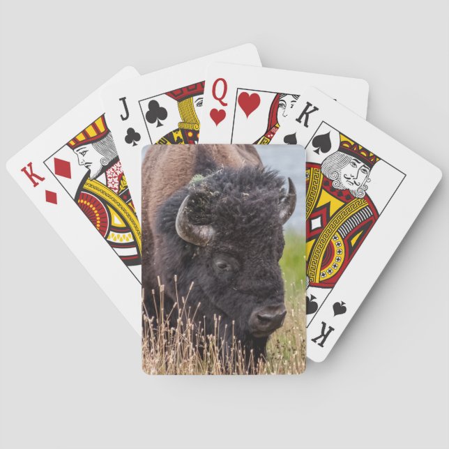 Bison (auch Buffalo genannt) durch eine große Lins Spielkarten (Rückseite)