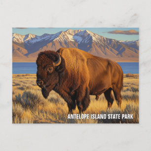 Bison auf der Insel Antelope Staat Park Utah Postkarte