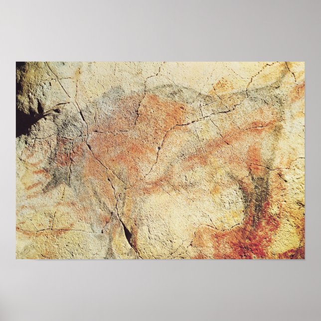 Bison, aus den Höhlen von Altamira, um 15000 v. Ch Poster (Vorne)