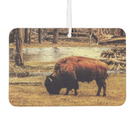 Bison Autolufterfrischer