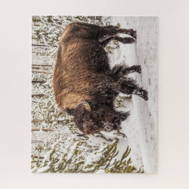 Bison (Bison bison) - Buffalo - Schnee - 520 Stück Puzzle