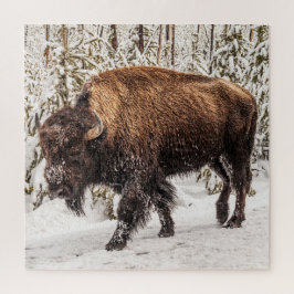 Bison (Bison bison) - Buffalo - Schnee - 676 Stück Puzzle