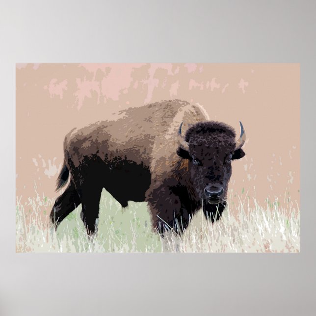 Bison Buffalo American Artwork Poster (Vorne)