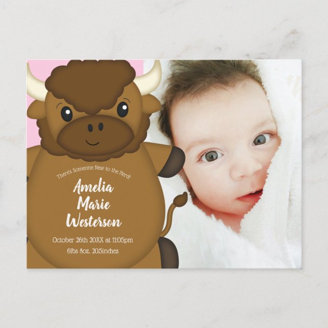 Bison Buffalo Baby Dusche Rosa Postkarte (Vorderseite)