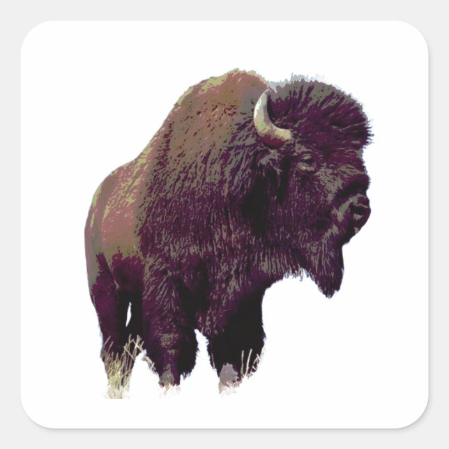 Bison Buffalo Card Quadratischer Aufkleber (Vorderseite)